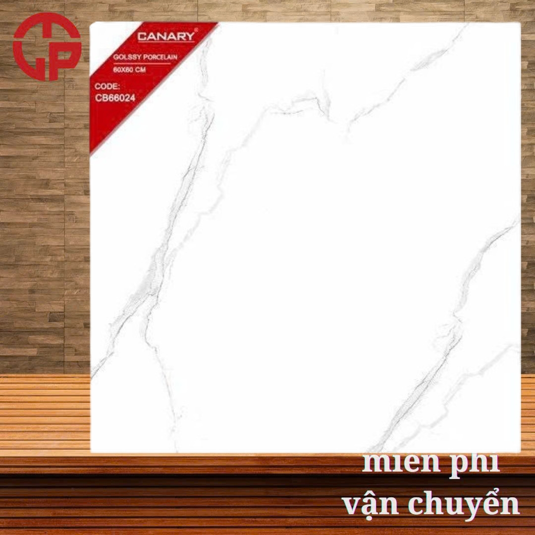 Gạch lát nền 600x600 TTC CB66024 3 105k-Gach-lat-nen-600x600-TTC-CB66024