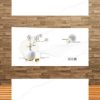 Gạch ốp tường 30x60 CTL 36501 36503 1 105k-Gach-op-tuong-30x60-CTL-36501-36503