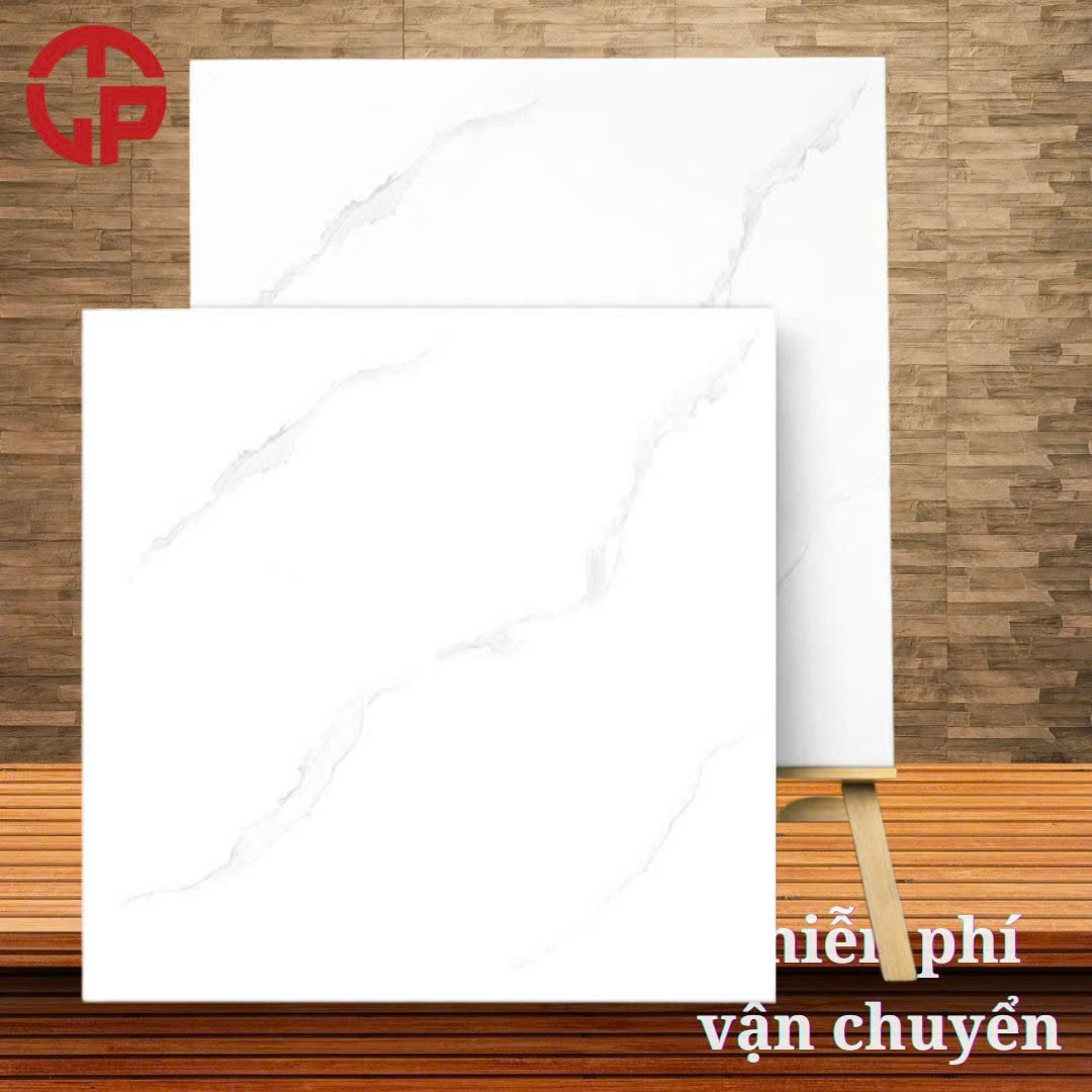 Gạch lát nền 60x60 LTP23 6301 3 125k-Gach-lat-nen-60x60-THP-6301