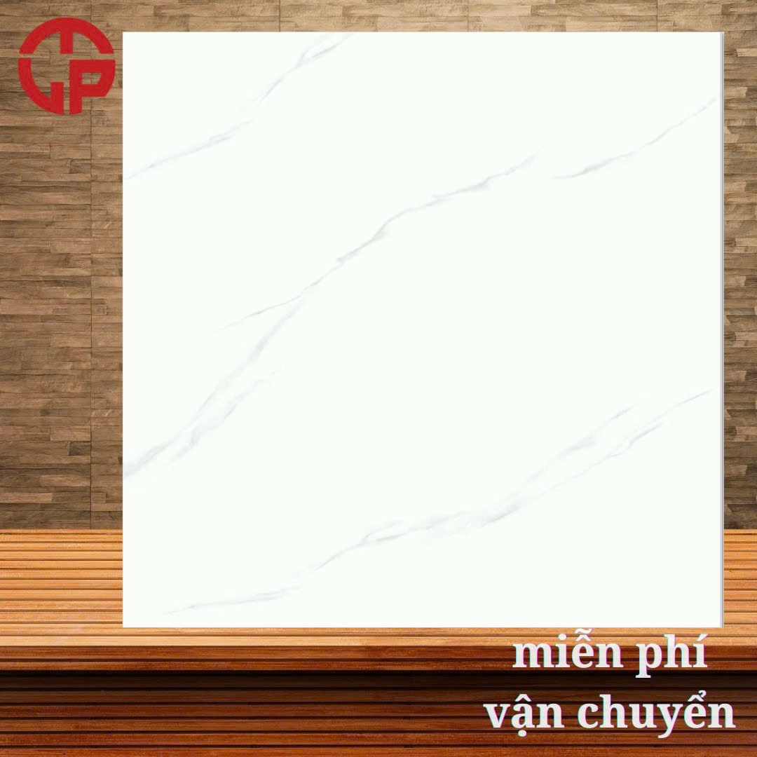 Gạch lát nền 60x60 LTP06 ECOP6613 3 135k-Gach-lat-nen-60x60-CP-ECOP6613