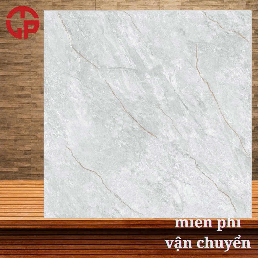 Gạch lát nền 60x60 LTP06 ECOP6614 3 135k-Gach-lat-nen-60x60-CP-ECOP6614