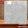 Gạch lát nền 60x60 LTP25 D6303V 1 150k-Gach-lat-nen-60x60-TTT-D6303V