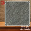 Gạch lát sân vườn 60x60 LTP18 PSV 606 2 150k-Gach-lat-san-vuon-60x60-NHL-PSV-606