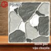Gạch lát sân vườn 60x60 LTP18 PSV602 1 150k-Gach-lat-san-vuon-60x60-NHL-PSV602