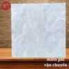 Gạch lát nền 60x60 LTP06 6649 2 165k-gach-lat-nen-60x60-CP-6649