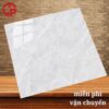 Giá gạch lát nền 80x80 LTP16 MQ8205 1 165k-gia-gach-lat-nen-80x80-PAN-MQ8205