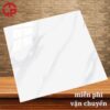 Mẫu gạch lát nền phòng khách 80x80 LTP16 K884 1 165k-mau-gach-lat-nen-phong-khach-80x80-PAN-k884