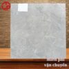 Gạch lát nền 80x80 LTP25 D8303V 2 175k-gach-lat-nen-80x80-TTT-D8303V
