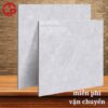 Gạch lát nền 80x80 LTP25 D8306 1 175k-gach-lat-nen-80x80-TTT-D8306