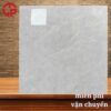 Gạch lát nền 80x80 LTP25 D8306V 2 175k-gach-lat-nen-80x80-TTT-D8306V