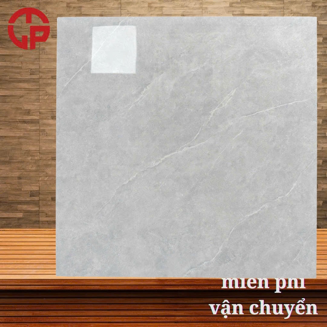 Gạch lát nền 80x80 LTP25 D8306V 3 175k-gach-lat-nen-80x80-TTT-D8306V