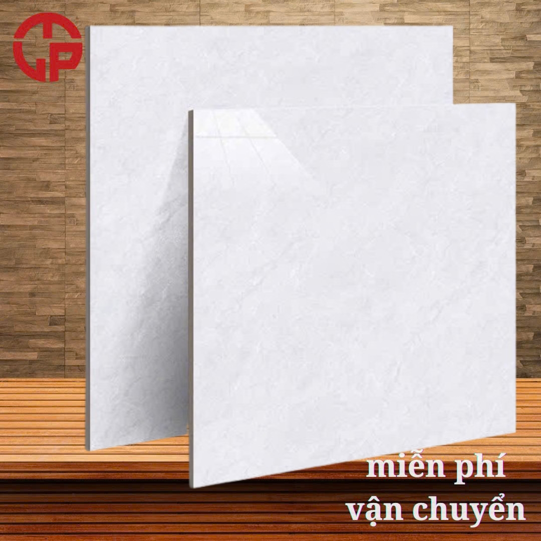 Gạch lát nền 80x80 LTP25 D8307 3 175k-gach-lat-nen-80x80-TTT-D8307