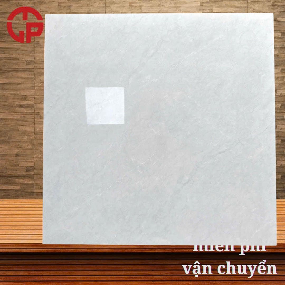 Gạch lát nền 80x80 LTP25 D8307V 3 175k-gach-lat-nen-80x80-TTT-D8307V