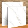 Gạch lát nền 80x80 LTP25 D8308 1 180k Gach lat nen 80x80 TTT D8308