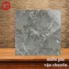 112k-Cach-phoi-mau-gach-lat-nen-dep-60x60-Y-My-EC624