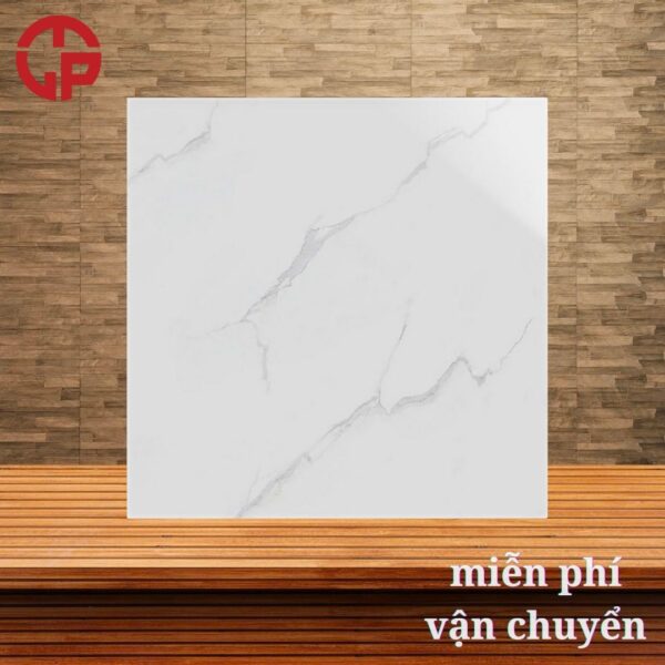 112k-Gach-60x60-1-thung-bao-nhieu-vien-Y-My-F6002