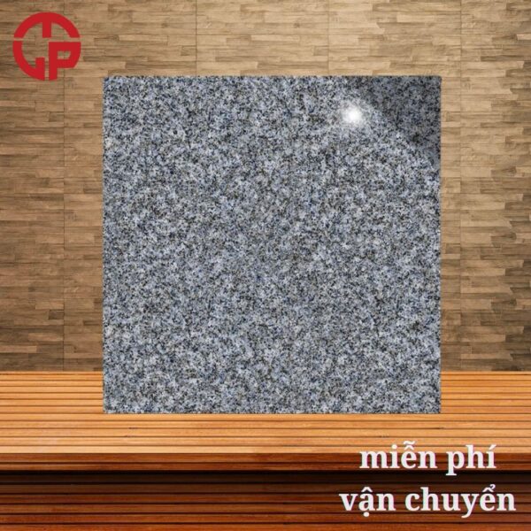 112k-Gach-gia-da-hoa-cuong-mau-den-60x60-Y-My-F5005