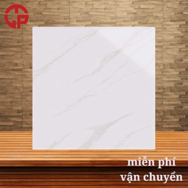 112k-Mau-gach-lat-nen-dep-nhat-hien-nay-60x60-Y-My-EY6034