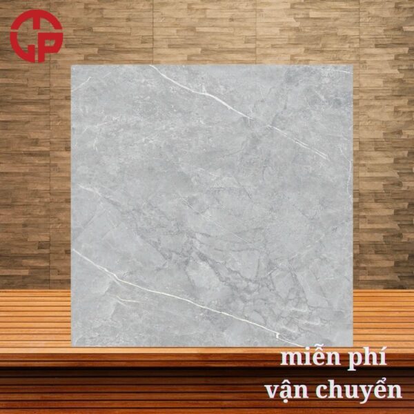 112k-Phong-khach-gach-lat-nen-dep-60x60-Y-My-F6049R