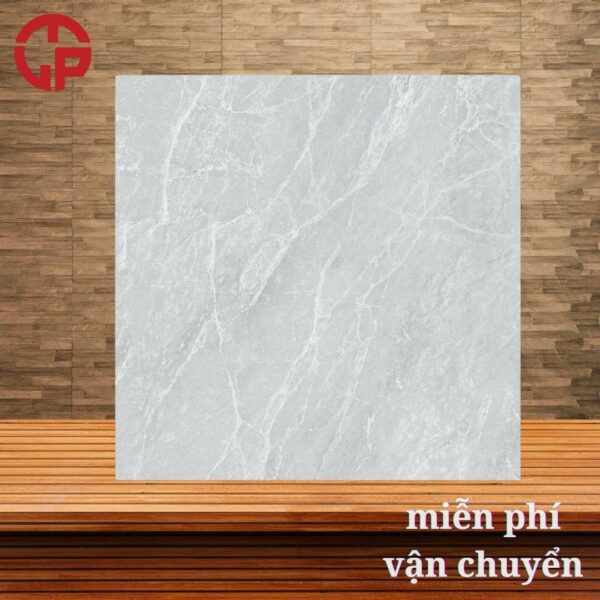 112k-bong-kinh-gach-lat-nen-dep-60x60-Y-My-C635R