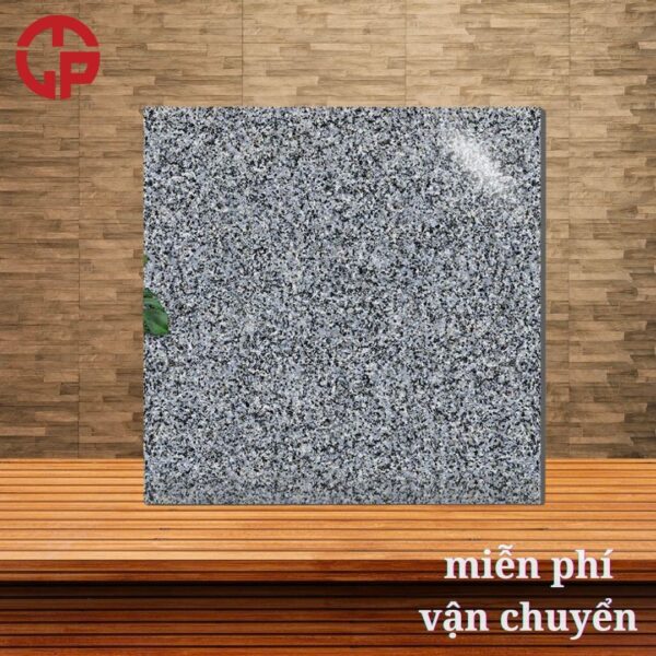 112k-gach-lat-cau-thang-60x60-Y-My-Y6022