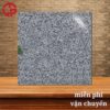 112k-gia-gach-lat-nen-60x60-porcelain-Y-My-Y6022