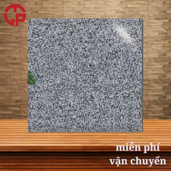 112k-gia-gach-lat-nen-60x60-porcelain-Y-My-Y6022