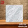112k-kinh-nghiem-chon-gach-lat-nen-phong-khach-60x60-Y-My-F6050R