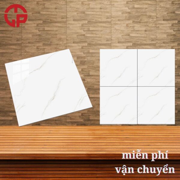 135k-gach-lat-nen-60x60-gia-bao-nhieu-1-thung-PAN-k674
