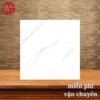 147k-Hinh-anh-gach-lat-nen-nha-dep-60x60-CTL-65001