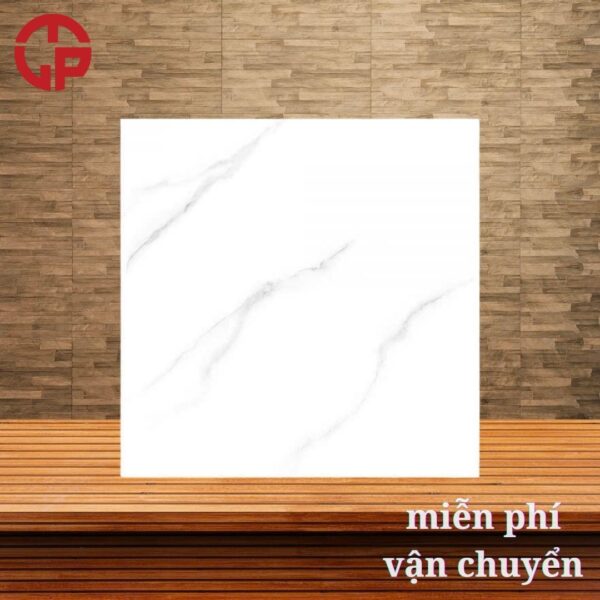147k-Hinh-anh-gach-lat-nen-nha-dep-60x60-CTL-65001