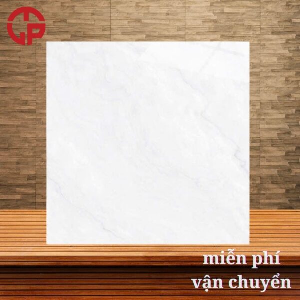 147k-Mau-lat-gach-phong-khach-dep-60x60-CTL-65003
