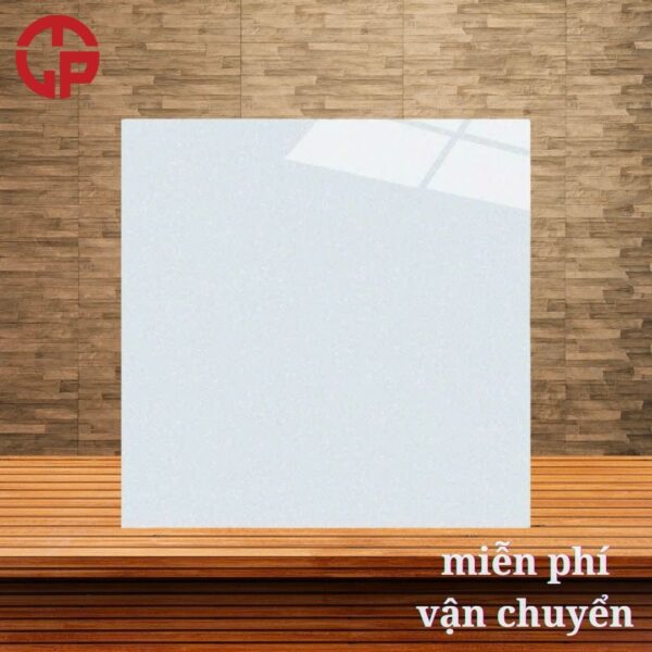 160k-cac-mau-gach-lat-nen-phong-khach-dep-60x60-CTL-60087