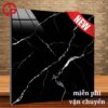 200k-gach-men-den-60x60-Fico-FPP6101
