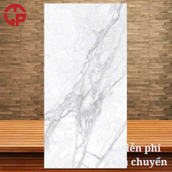 240k-gach-60x120-CV-OM-126005