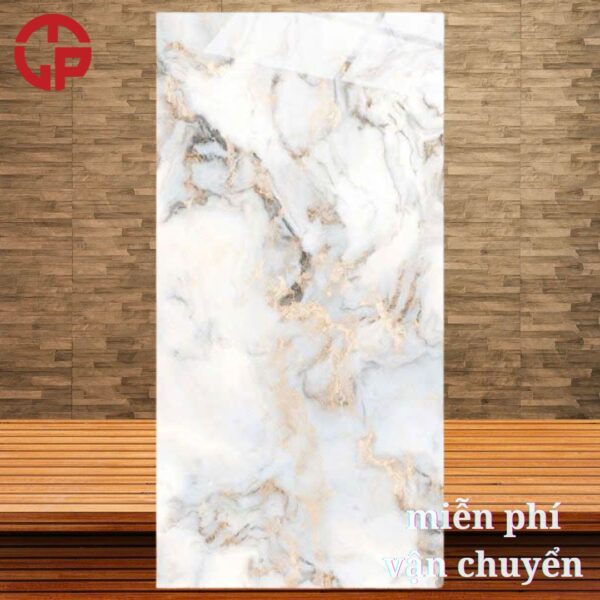 255k-gach-60x120-gia-re-CTL-12009