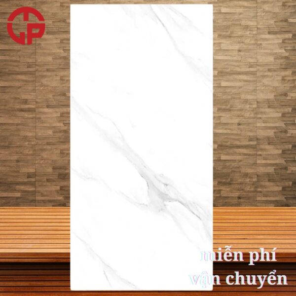 255k-gach-op-60x120-CTL-12026