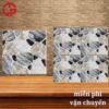 95k-Gach-san-vuon-gia-re-50x50-PAK-QH5040