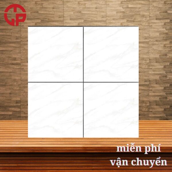 99k-mau-gach-lat-nen-dep-60x60-PAK-P6018