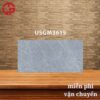 Gạch lát sân vườn 30x60 LTP10 USGM3615 1 180k-gach-lat-san-vuon-30x60-Unis-USGM3615
