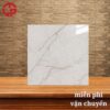 Gạch lát sàn nhà giá rẻ 80x80 LTP19 N88042R 1 200k-gach-lat-san-nha-gia-re-80x80-Y-My-N88042R