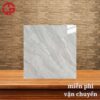 Gạch nền bóng kiếng 80x80 LTP19 P88038R 2 200k-gach-nen-bong-kieng-80x80-Y-My-P88038R