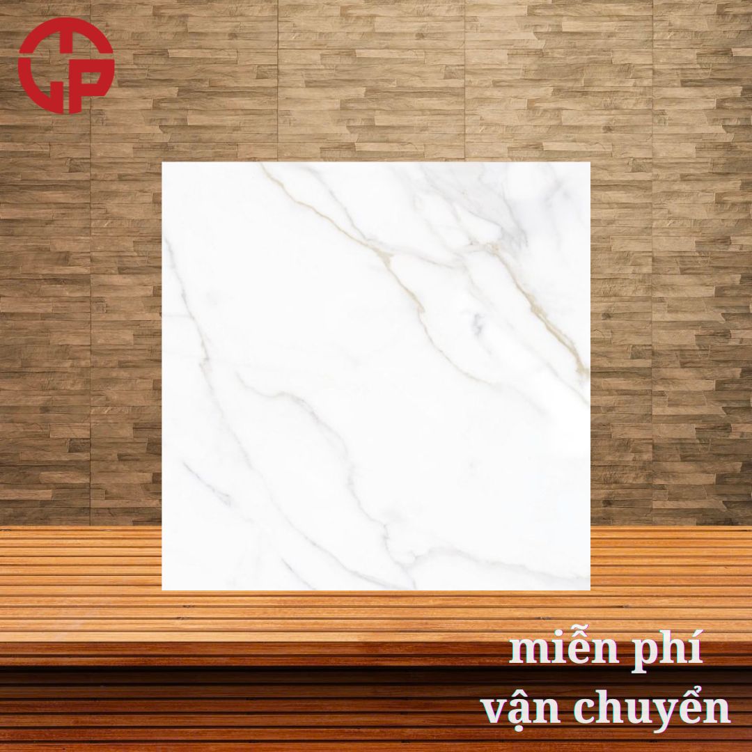 Giá gạch lát nền Đồng Tâm 60x60 VAMCODONG003 3 210k-gia-gach-lat-nen-dong-tam-60x60-VAMCODONG003.jpg