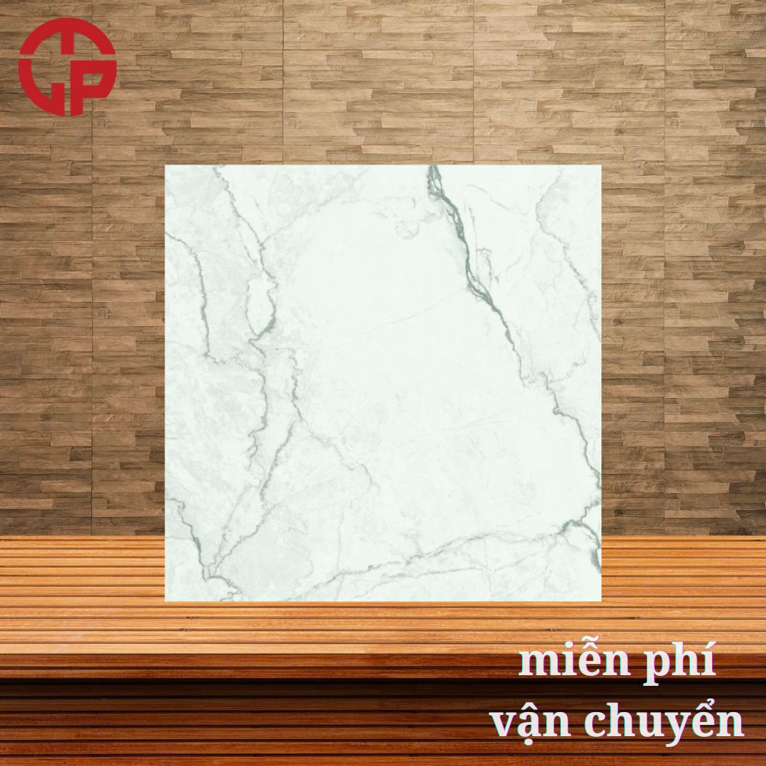 Kho gạch Đồng Tâm 60x60 TRANGAN005 3 210k-kho-gach-dong-tam-60x60-TRANGAN005.jpg