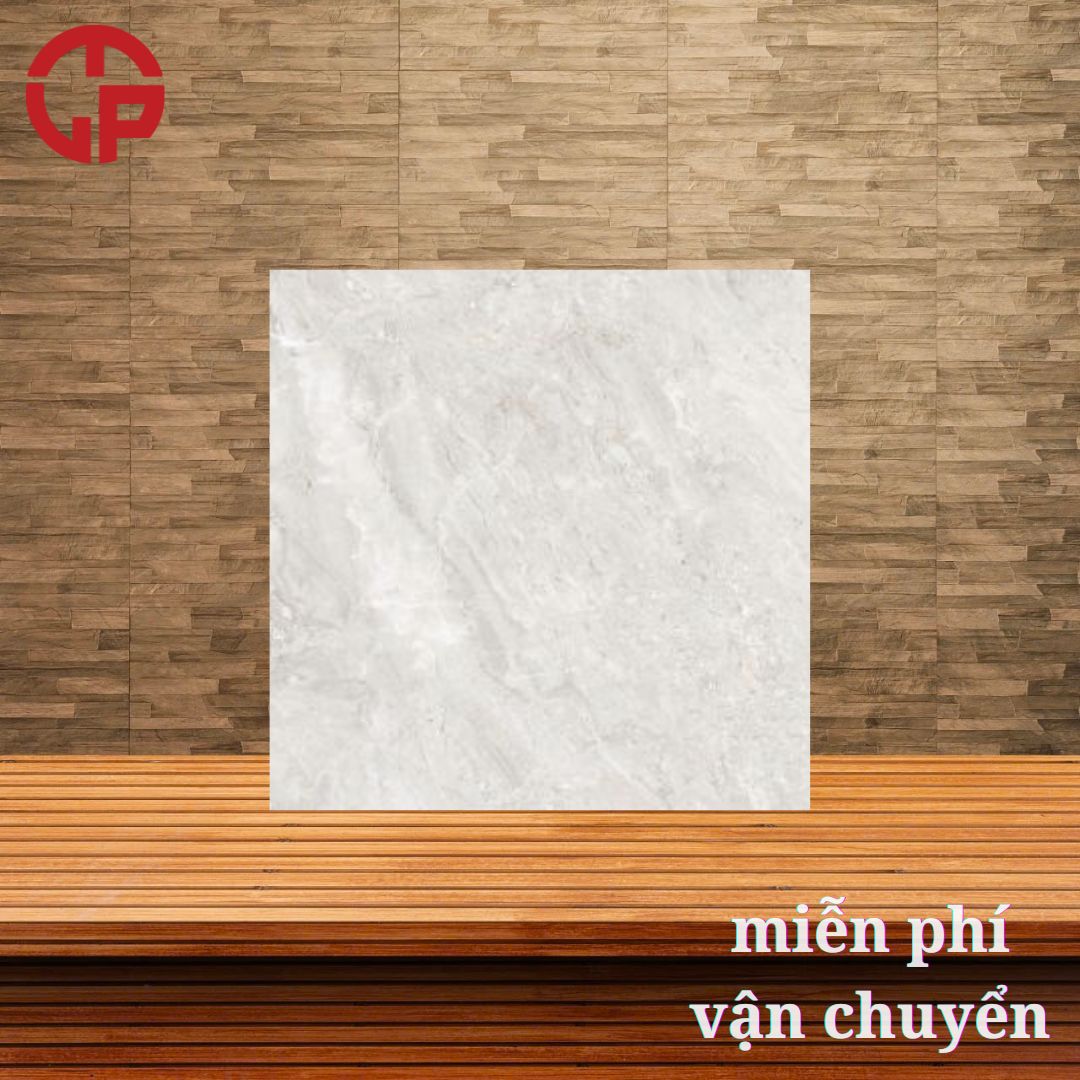 Gạch Đồng Tâm Long An 60x60 TRUONGSON002 3 245k-gach-dong-tam-long-an-60x60-TRUONGSON002.jpg