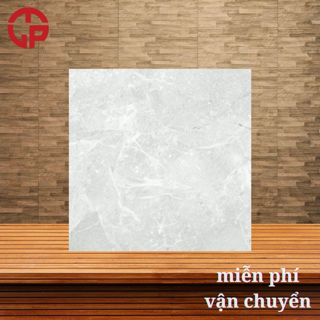 Mẫu gạch Đồng Tâm 60x60 DONGVAN005 3 290K-mau-gach-dong-tam-60X60-DONGVAN005.jpg