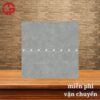 Gạch lát nền mẫu xám vân đá 80x80 Đồng Tâm ROME006 1 295k-gach-lat-nen-mau-xam-van-da-80x80-dong-tam-ROME006