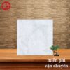 Gạch lát nền 60x60 LTP01 61032 1 125k-gach-lat-nen-60x60-CTL-61032