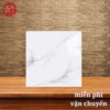 Giá gạch lát nền 600x600 LTP09 OM6906 1 155k-gia-gach-lat-nen-600x600-CV-OM6906