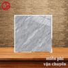 Mẫu gạch lát nền đẹp 600x600 LTP13 MTV66033 1 165k-Mau-gac-lat-nen-dep-600x600-HBM-MTV-66033